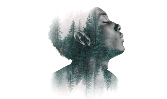 Purity is Power: Equipping Young Girls for a Life of Holiness